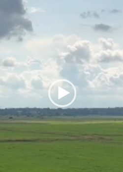 Thumbnail zu HG-Video