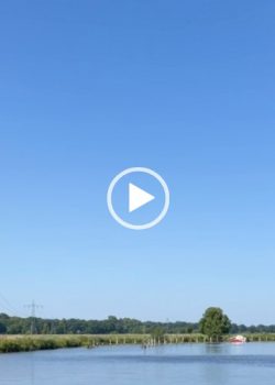 Thumbnail zu Jutta-Video